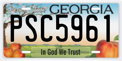 GA license plate PSC5961