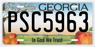 GA license plate PSC5963