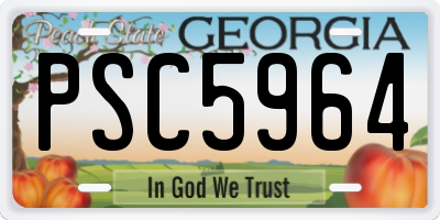 GA license plate PSC5964