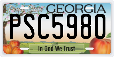GA license plate PSC5980