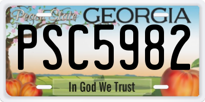GA license plate PSC5982