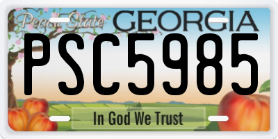 GA license plate PSC5985