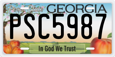 GA license plate PSC5987