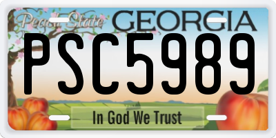 GA license plate PSC5989