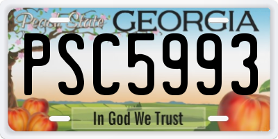 GA license plate PSC5993