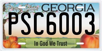 GA license plate PSC6003