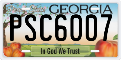 GA license plate PSC6007