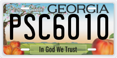 GA license plate PSC6010