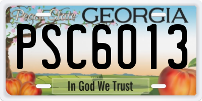 GA license plate PSC6013