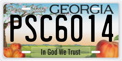 GA license plate PSC6014