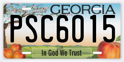 GA license plate PSC6015