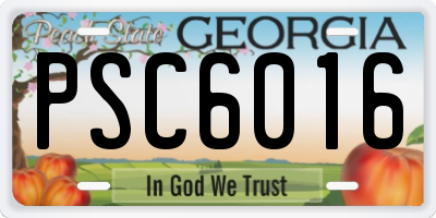 GA license plate PSC6016