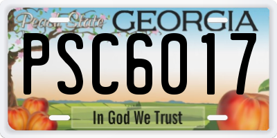 GA license plate PSC6017