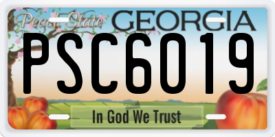 GA license plate PSC6019