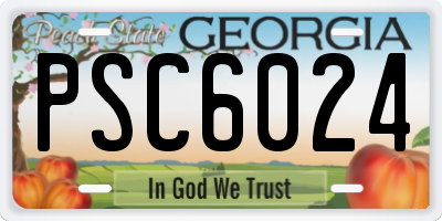 GA license plate PSC6024