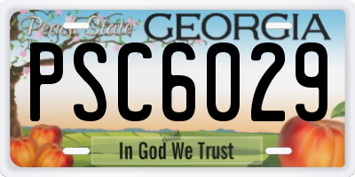 GA license plate PSC6029