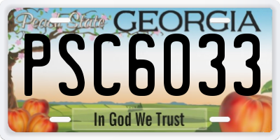 GA license plate PSC6033