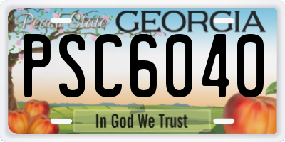 GA license plate PSC6040