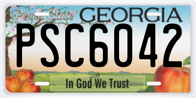 GA license plate PSC6042