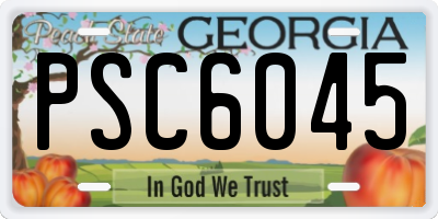 GA license plate PSC6045