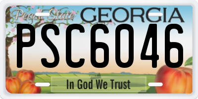 GA license plate PSC6046