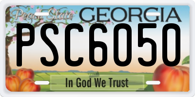 GA license plate PSC6050