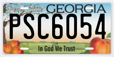 GA license plate PSC6054