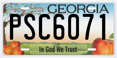 GA license plate PSC6071