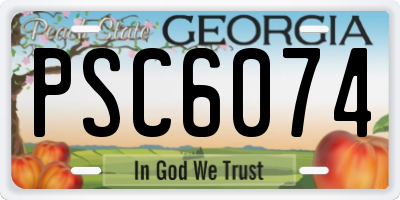 GA license plate PSC6074