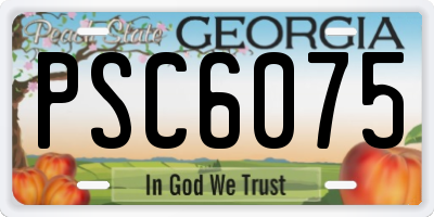 GA license plate PSC6075