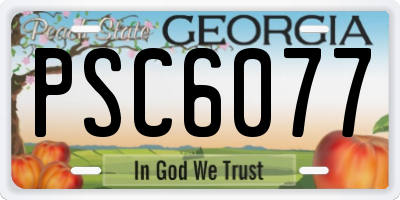 GA license plate PSC6077