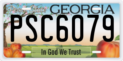 GA license plate PSC6079