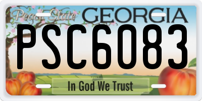 GA license plate PSC6083