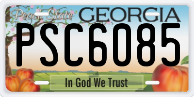 GA license plate PSC6085