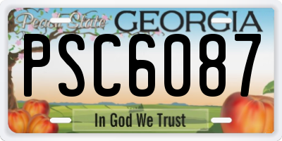 GA license plate PSC6087