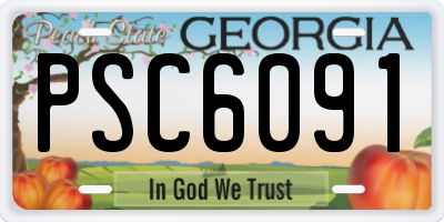 GA license plate PSC6091