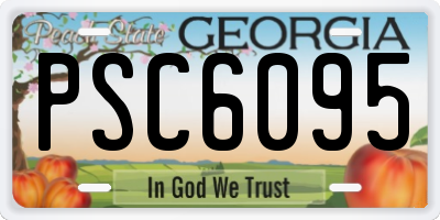 GA license plate PSC6095