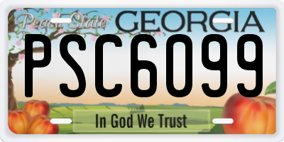 GA license plate PSC6099