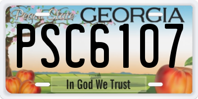 GA license plate PSC6107