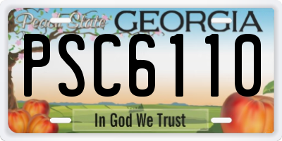 GA license plate PSC6110