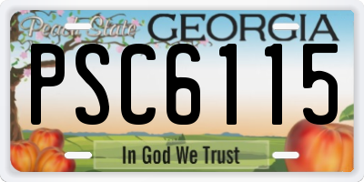 GA license plate PSC6115