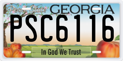 GA license plate PSC6116