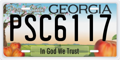 GA license plate PSC6117