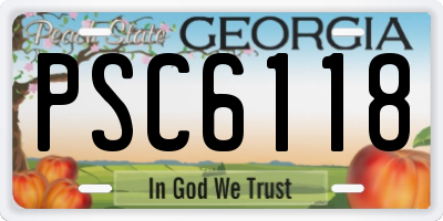 GA license plate PSC6118