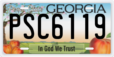 GA license plate PSC6119