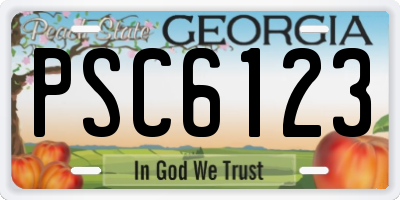 GA license plate PSC6123