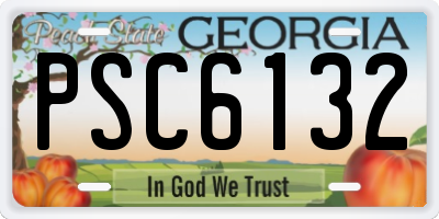 GA license plate PSC6132