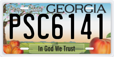 GA license plate PSC6141