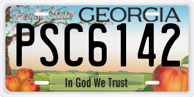 GA license plate PSC6142