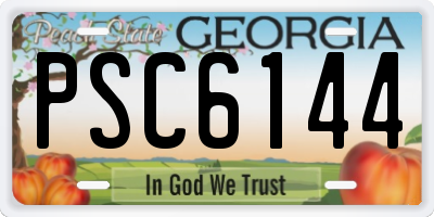 GA license plate PSC6144